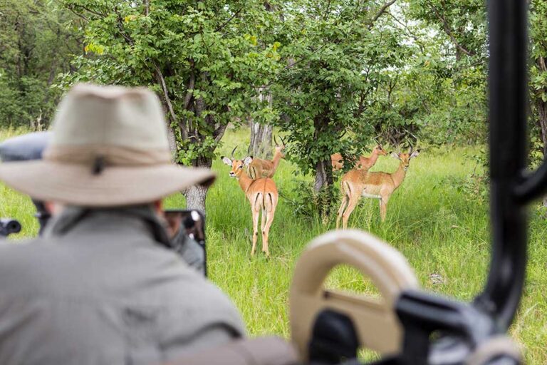Kruger National Park Tours | Big Five Wildlife Safari SA
