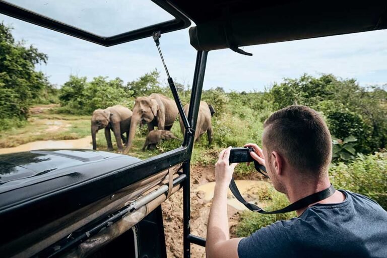 Expedition & Safari Photo Gallery | Deon Burger Safaris-man-photographing-elephants-on-a-wildlife-safari