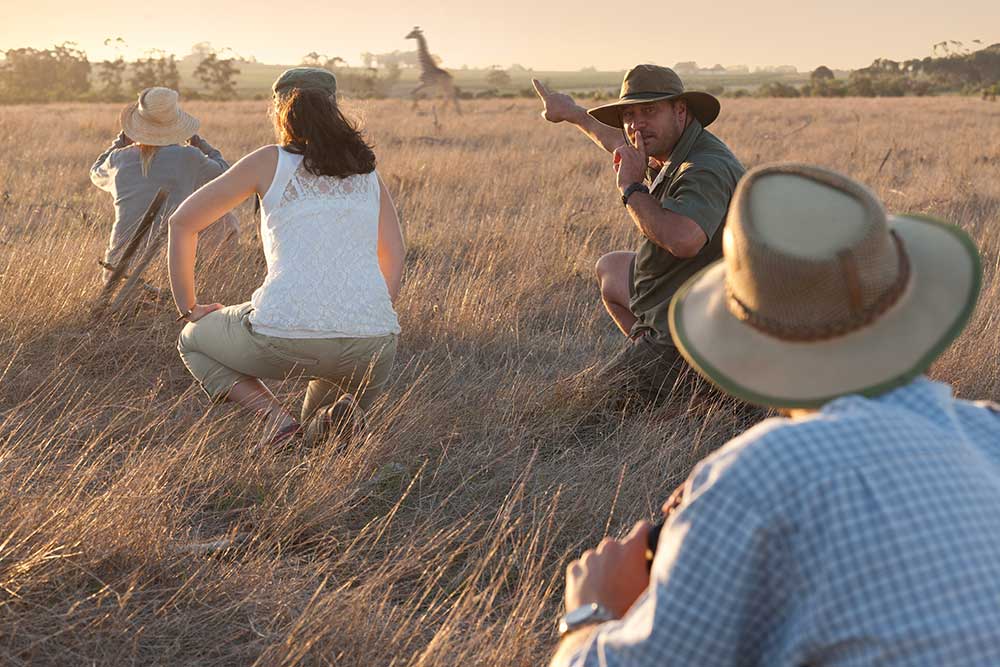 About Us & Our Team | Professional South African Hunters